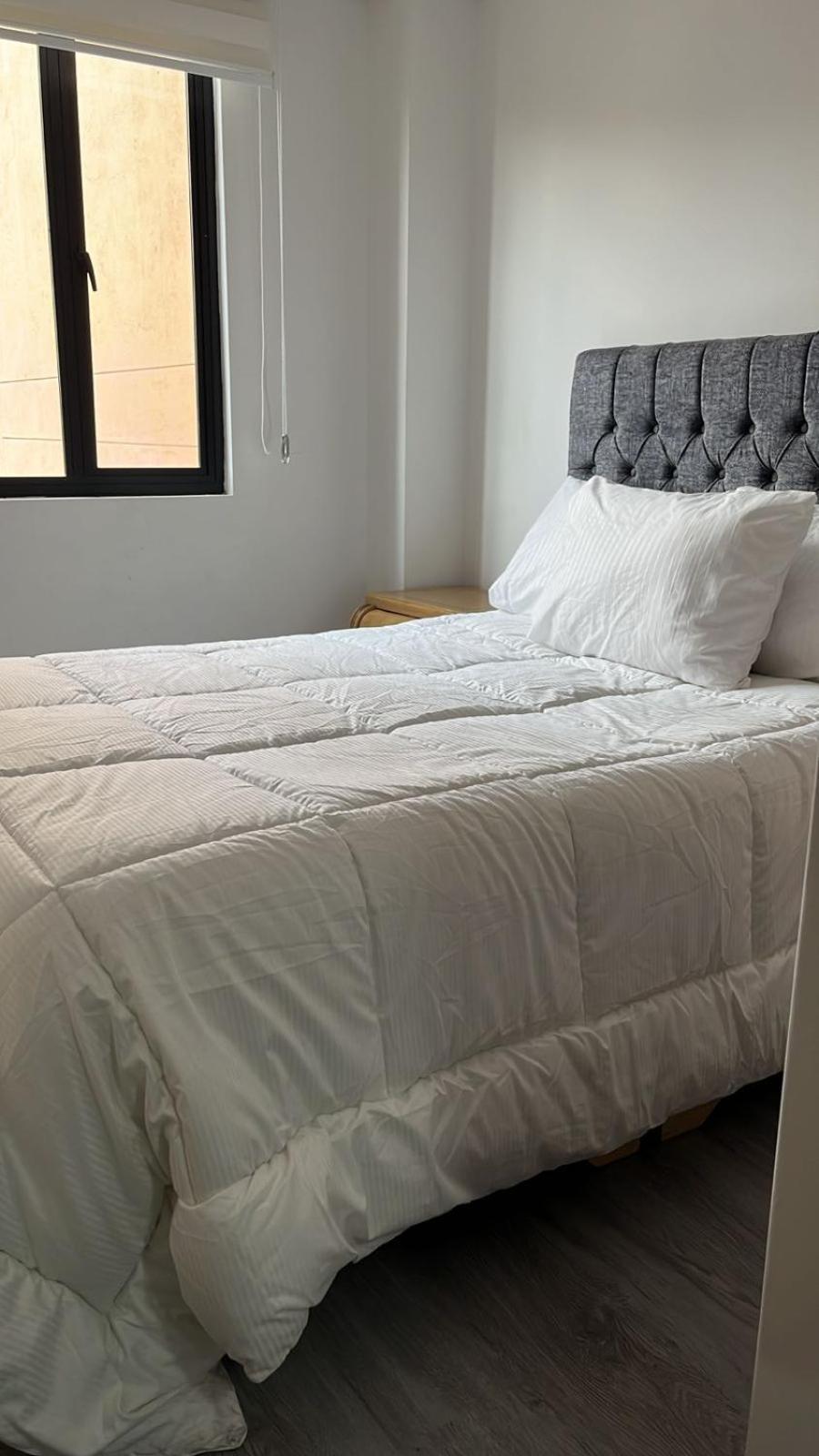 Apartment Elite *